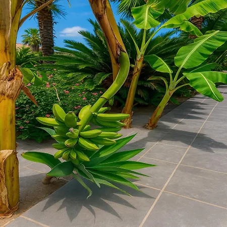 Drita-beachfront With Private Pool *